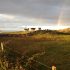 Sunset Picnic and listening the Cory’s Shearwater