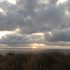 Sunset Picnic and listening the Cory’s Shearwater