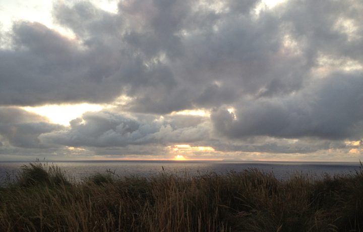 Sunset Picnic and listening the Cory’s Shearwater